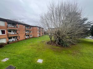 Photo 15- click for photo gallery